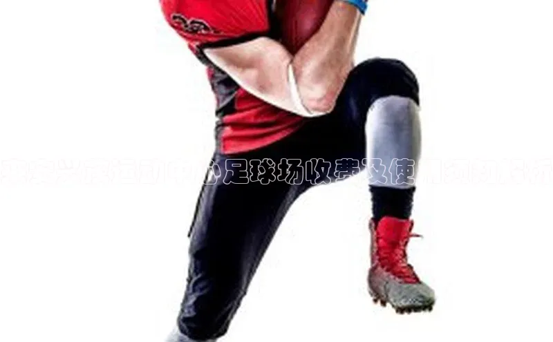 BEAT365唯一官网赛富乐斯