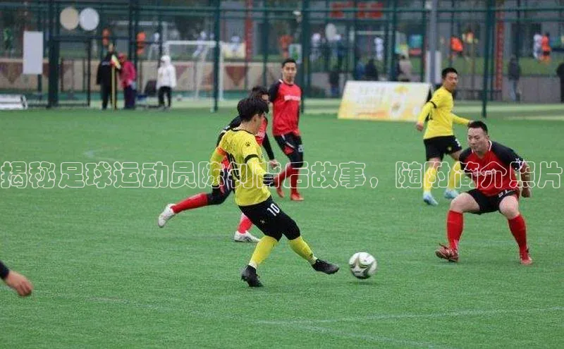 英国(正版)365官方网站每日互动