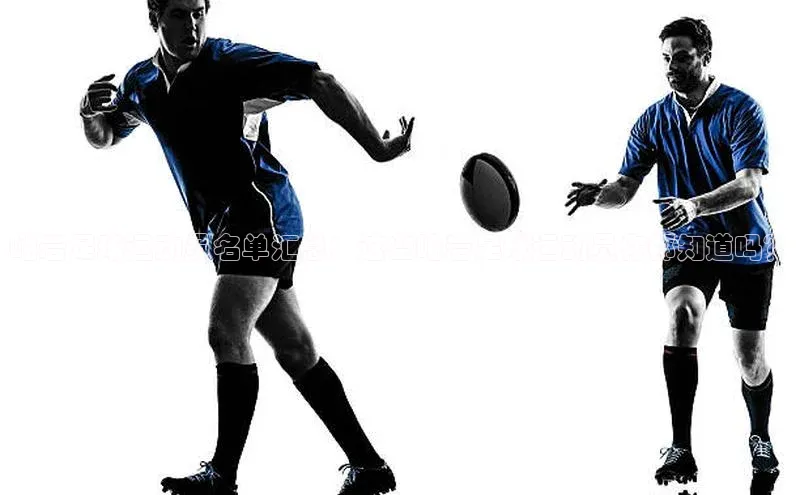 beat365全站官网最新版本诸葛科技