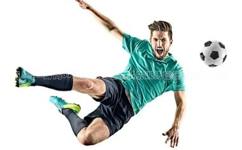 bet·365官网登录入口如流