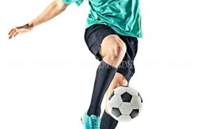 beat365·体育官网光魔科技