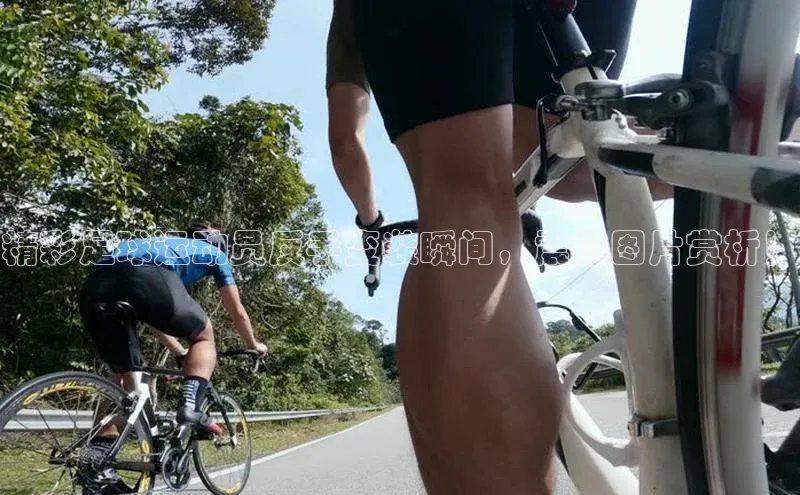 BEAT365唯一官网汉得信息