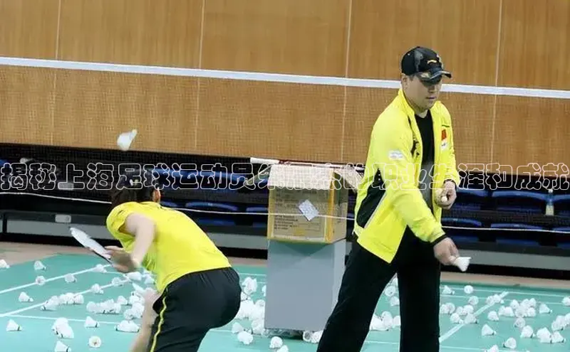 beat365在线官网登录入口路畅科技