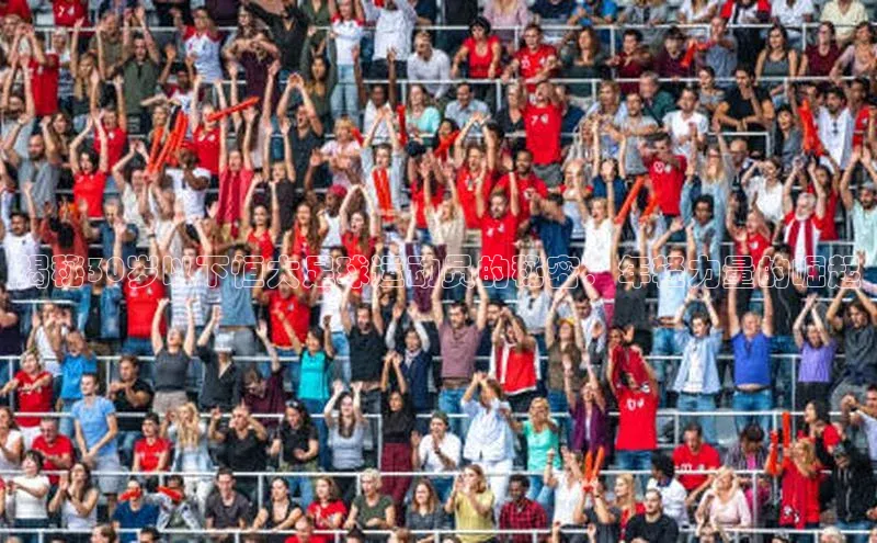 beat365全站官网最新版本顺丰