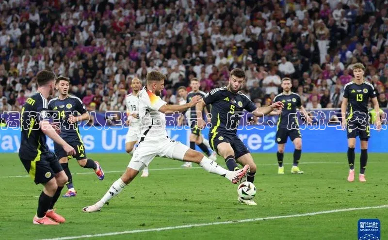 beat365·体育官网光魔科技