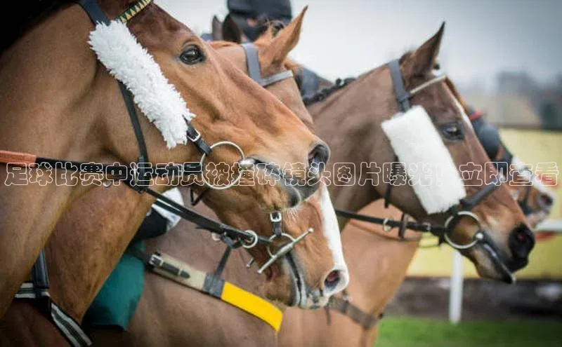 beat365全站官网最新版本顺丰