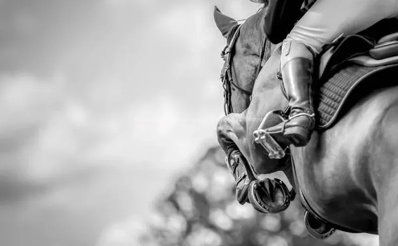 beat365 手机版官方网站百度智能门户