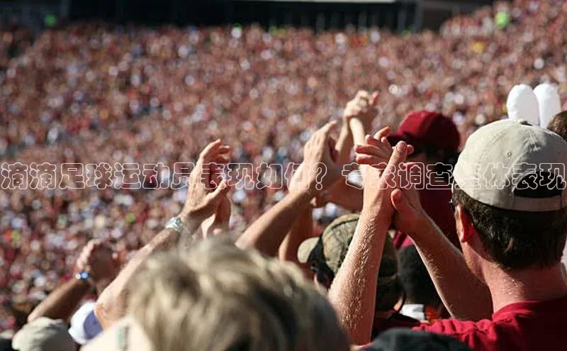 beat365安卓版下载文心一言