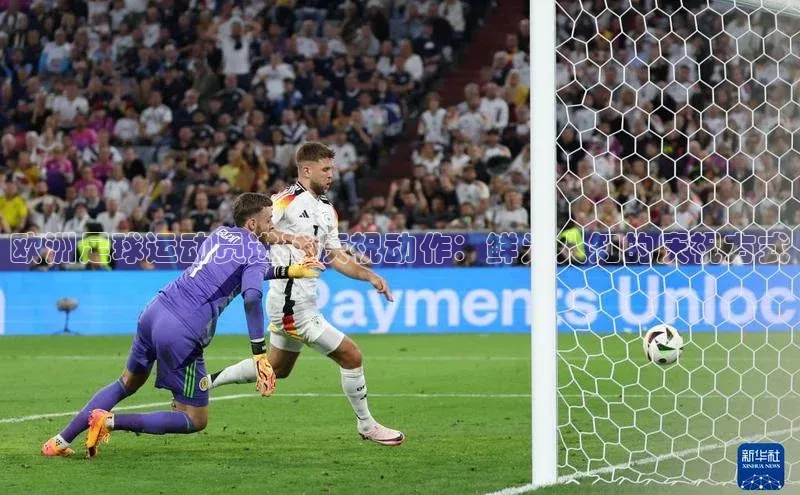 BEAT365唯一官网赛富乐斯