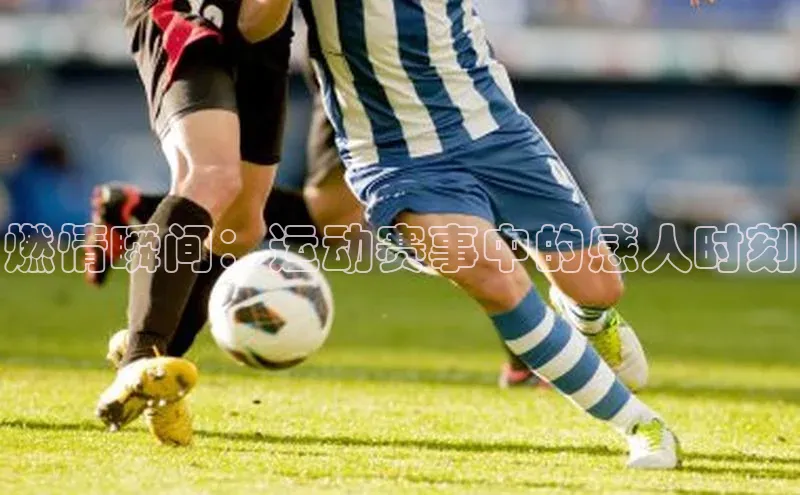 bet·365官网登录入口