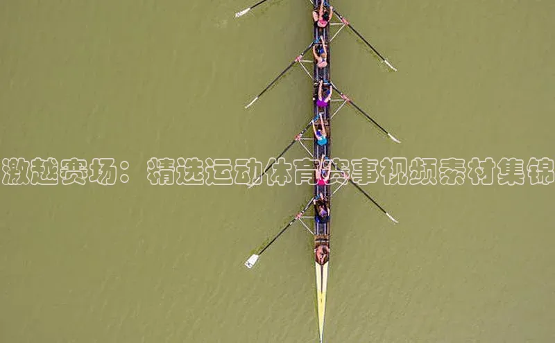 beat365全站官网最新版本