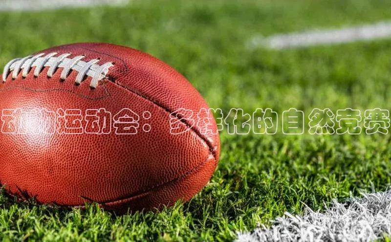 beat365亚洲体育在线官网